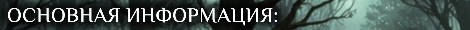 %D0%9E%D0%A1%D0%9D%D0%9E%D0%92%D0%9D%D0%90%D0%AF%20%D0%98%D0%9D%D0%A4%D0%9E%D0%A0%D0%9C%D0%90%D0%A6%D0%98%D0%AF.jpg