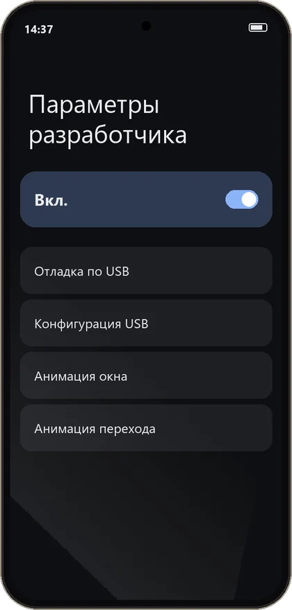 Включите режим разработчика